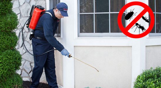 Bolu Gümüşkurt İlaçlama böcek ilaçlama ve haşere kontrolü — ilaclama-tr.com